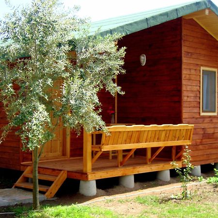 Sera Pansiyon Çıralı Exteriér fotografie