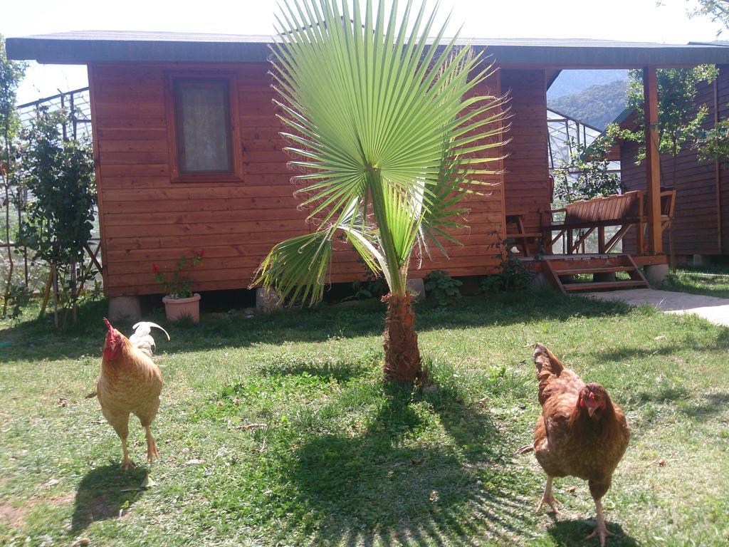 Sera Pansiyon Çıralı Exteriér fotografie